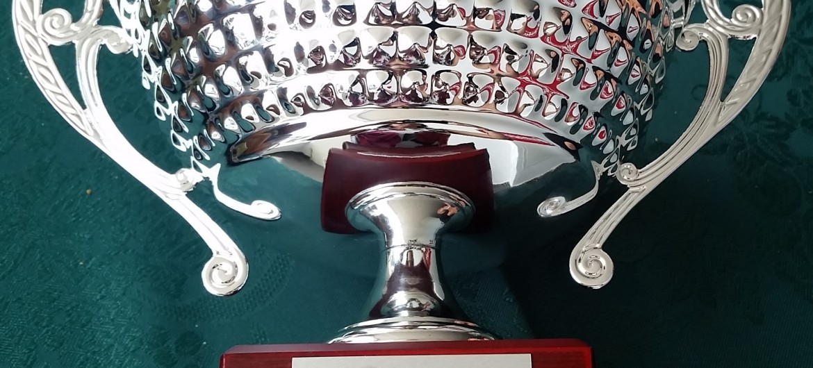 premio CHALLENGER miglior performance 2016 fustinoni sort